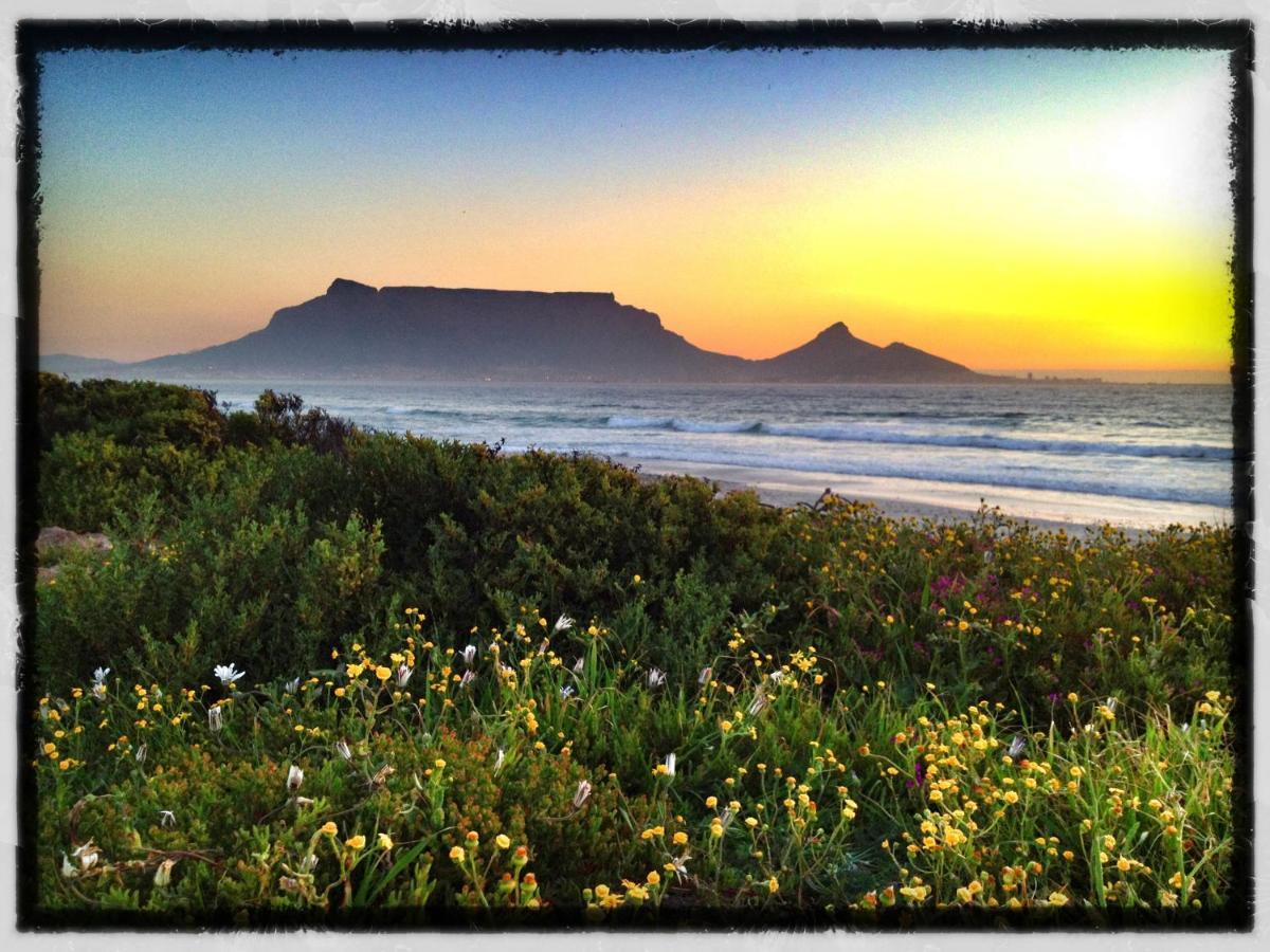 Lazy Days - Apartment Cape Town